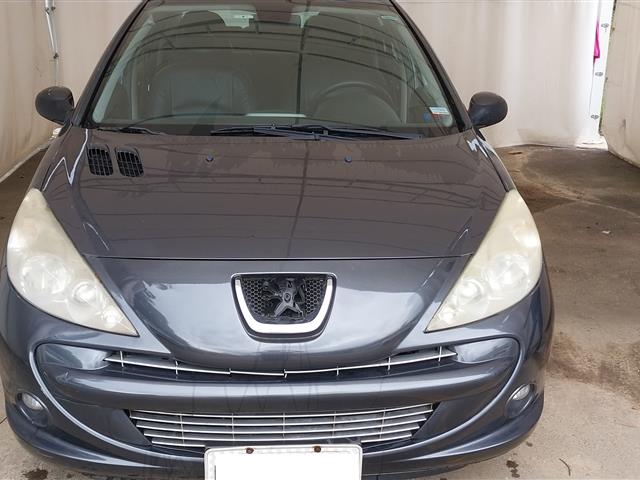Veículo: PEUGEOT 207PASSION XS 